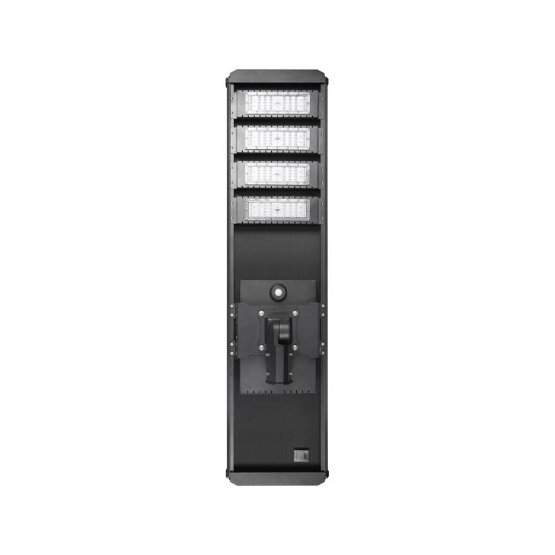 100W LED Solar Street Light SSL-A07