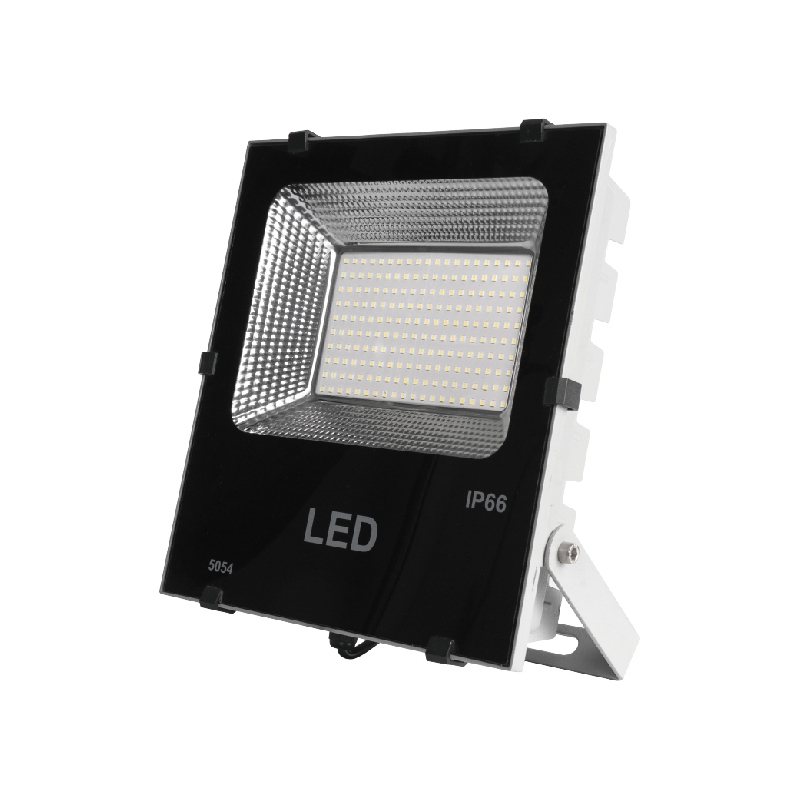 LED Flood Light ZF-TD01