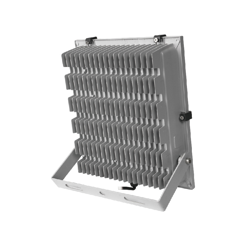 LED Flood Light ZF-TD01