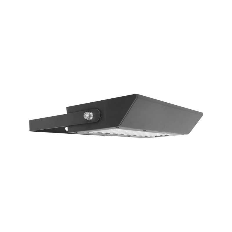 6W LED Solar Street Light SL-1